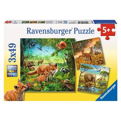 Spiel 6024.0